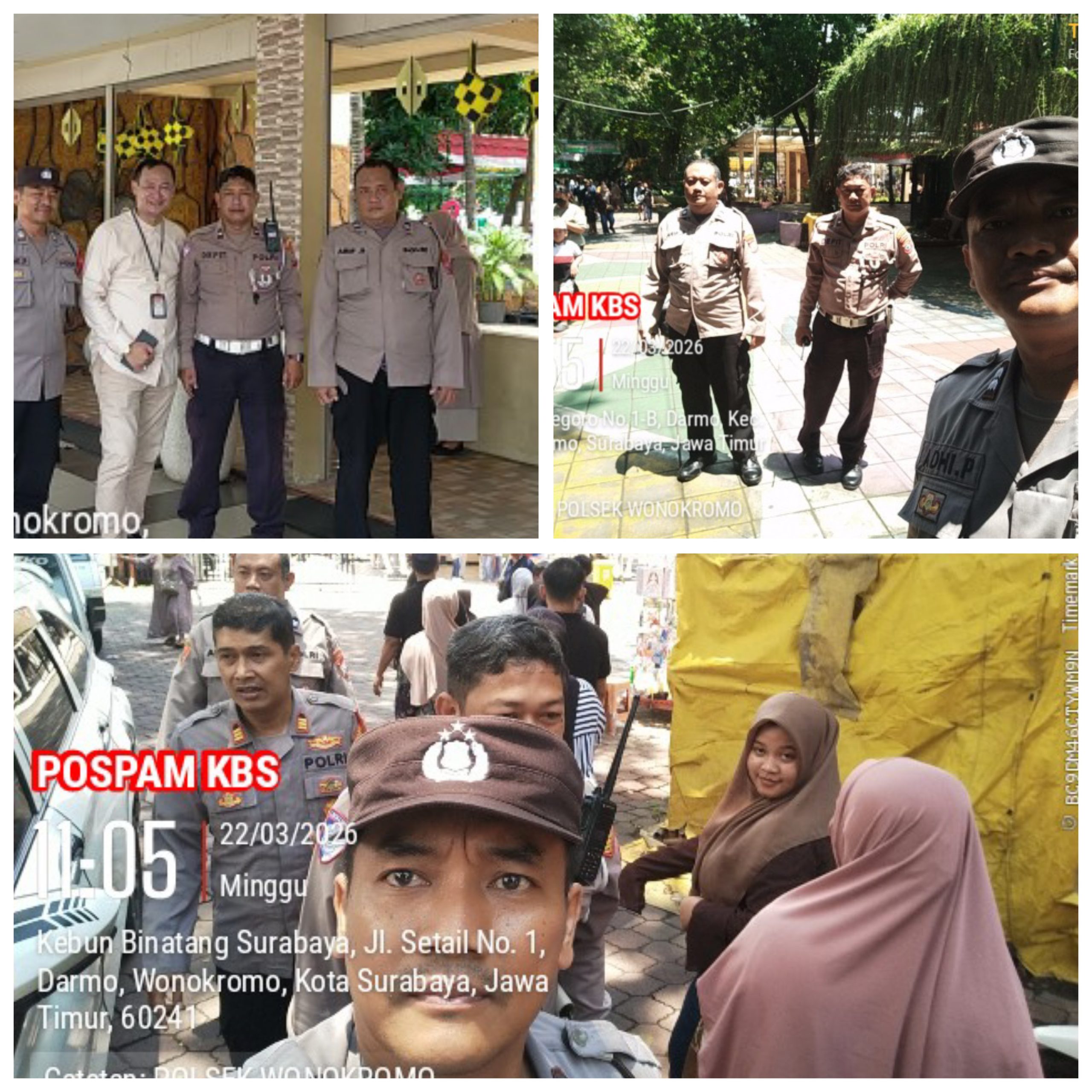 Gridart 20260324 064233667