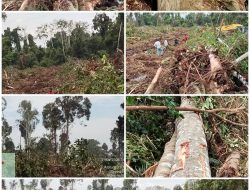 SATGASUS KPK TIPIKOR RIAU KECEWA! GKM-LHK dan Polhut Dinilai Hanya “Tinjau” Tanpa Tindakan di Kawasan HPT Kampar