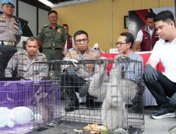 Polresta Sidoarjo Ungkap Perdagangan Ilegal Satwa Lindung Jaringan Internasional