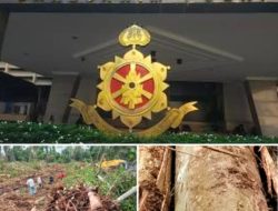 Dugaan Pembiaran Aktivitas Kayu Hutan di Riau, Warga Minta Krimsus Polda Riau dan Bareskrim Mabes Polri Turun Tangan