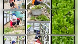 Gridart 20260404 101947211