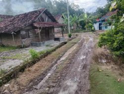 Jalan Rusak Tak Tersentuh Pembangunan, Warga Dusun Lubuk Tanoh Harapkan Jalan Bisa Dibangun