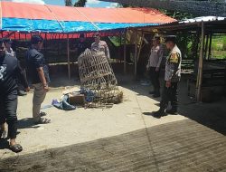 Tindak Tegas! Polres Ponorogo Bubarkan 3 Titik Judi Sabung Ayam dan Dadu