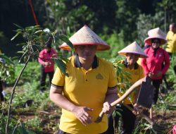 Gerakan Tanam Pohon, Polres Bondowoso Hijaukan Bukit Bintang
