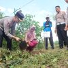 Polres Trenggalek Tanam Ratusan Pohon Beringin di Lahan Kritis Jaga Sumber Air