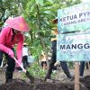 Peduli Lingkungan, Polres Gresik Bersama Bhayangkari Tanam Puluhan Pohon Produktif