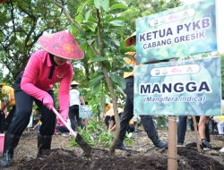 Peduli Lingkungan, Polres Gresik Bersama Bhayangkari Tanam Puluhan Pohon Produktif