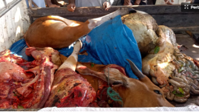 Posko Malut 15 April 2026