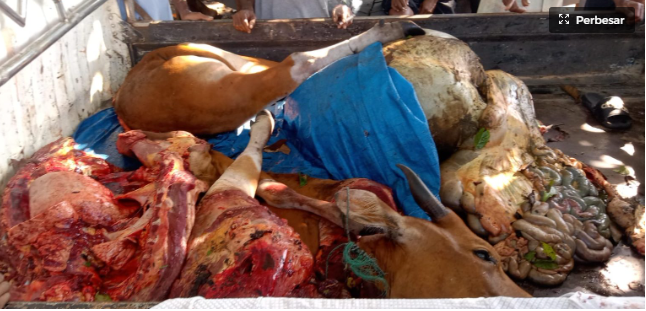 Posko Malut 15 April 2026