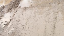 Screenshot 20260406 101912