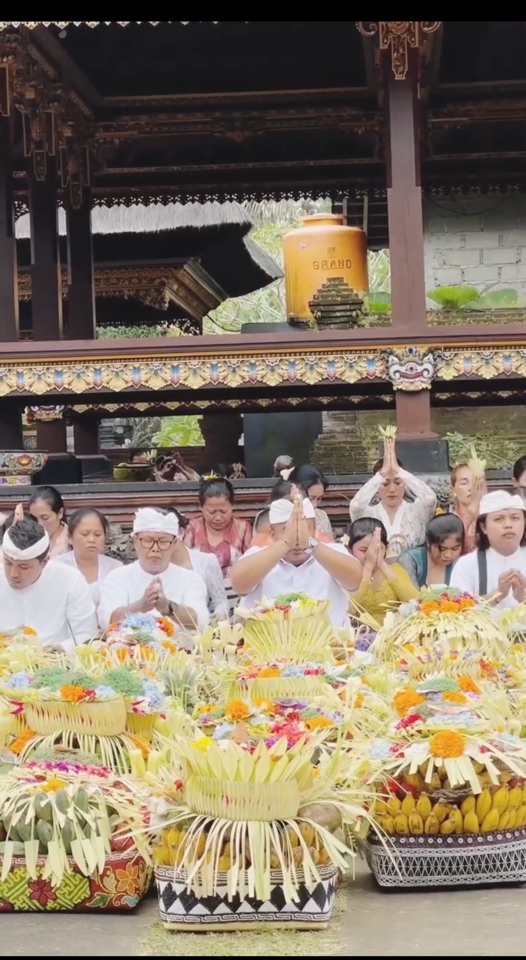 Screenshot 20260406 112051 Gallery