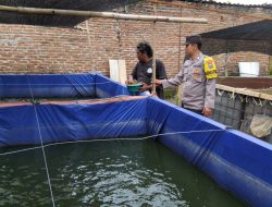 Polres Ngawi Gelorakan Swasembada Pangan, Dampingi Warga Budidaya Ikan Lele