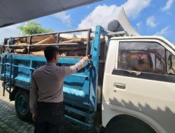 Polres Malang Ungkap Pembalakan Hutan, Truk Bermuatan Kayu Diamankan