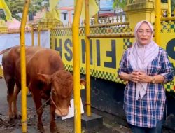 Kirim Sapi Kurban ke Dapil, Bamsoet Tegaskan Idul Adha Momentum Perkuat Ketahanan Nasional di Tengah Gejolak Dunia