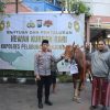 Polres Pelabuhan Tanjung Perak Salurkan Hewan Kurban di Hari Raya Iduladha 1447 H. 