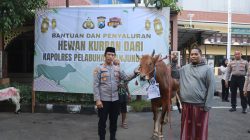 Img 20260528 Wa0242