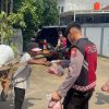 Rajut Kepedulian Sosial Idul Adha 1447 H, Korsabhara Baharkam Polri Salurkan 802 Paket Daging Kurban
