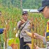 Img 20260530 Wa0060
