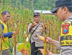 Img 20260530 Wa0060