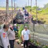 Dukung Program Ketahanan Pangan Presiden, Polres Pasuruan Bersama SMKN 1 Purwosari Kembangkan Budidaya Uwi Ungu