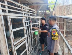 Polsek Rungkut Dampingi Peternak Ayam Petelur, Wujud Nyata Dukungan Ketahanan Pangan di Surabaya