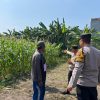Polresta Sidoarjo Gelorakan Swasembada Pangan Melalui Program P2B