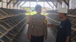 Img 20260610 Wa0133