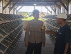 Bhabinkamtibmas Masangan Monitoring Peternakan Puyuh Produktif Milik Bumdes