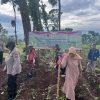 Polri Turun ke Lahan, Dampingi Petani Tanam Jagung Kuartal IV Dukung Swasembada Pangan di Pasuruan