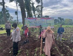 Polri Turun ke Lahan, Dampingi Petani Tanam Jagung Kuartal IV Dukung Swasembada Pangan di Pasuruan
