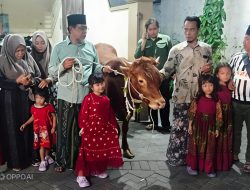 Dewan Cak Imin Serahkan 1 Ekor Lembu untuk Suroan dan Sambut Tahun Baru Hijriyah 1448 H di Kampoeng Ndresmo