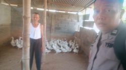 Img 20260616 Wa0108
