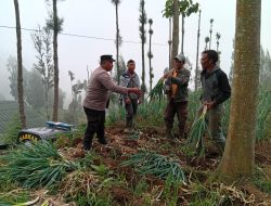 Img 20260619 Wa0061