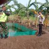 Bhabinkamtibmas Kelurahan Pogar Pantau Budidaya Lele untuk Dukung Ketahanan Pangan Nasional