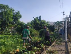 Dukung Ketahanan Pangan, Bhabinkamtibmas Rungkut Kidul Sambangi Poktan