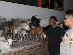 Dukung Ketahanan Pangan, Bhabinkamtibmas Polsek Pakal Sambangi Peternak Kambing di Sumberrejo