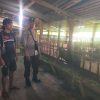Dukung Ketahanan Pangan, Bhabinkamtibmas Kelurahan Pakal Sambangi Peternak Kambing Etawa