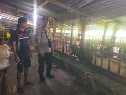 Dukung Ketahanan Pangan, Bhabinkamtibmas Kelurahan Pakal Sambangi Peternak Kambing Etawa