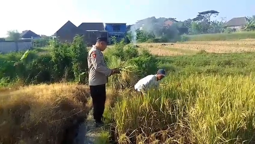 Img 20260624 Wa0059