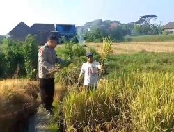 Img 20260624 Wa0060