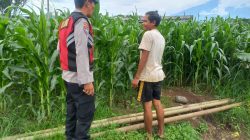 Img 20260627 Wa0105