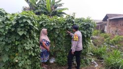 Img 20260628 Wa0079