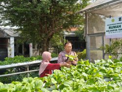 Dukung Ketahanan Pangan, Bhabinkamtibmas Babat Jerawat Dampingi Poktan Barokah Kembangkan Sayuran Hidroponik