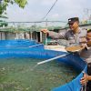 Bhabinkamtibmas Polsek Rembang Pantau Budidaya Lele, Dukung Ketahanan Pangan Nasional