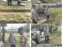 Bhabinkamtibmas Polsek Jambangan Perkuat Ketahanan Pangan Lewat Pendampingan Kelompok Tani Lestari