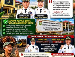 Tanggapan Petani Sawit Swadaya: Apresiasi Laporan ke Pusat, Namun Tetap Minta Langkah Tegas dan Konkret