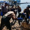Sinergi Bersih – bersih Pantai, Polres Gresik Wujudkan Indonesia ASRI