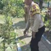 Bhabinkamtibmas Polsek Bangil Dorong Ketahanan Pangan Lewat P2B di Kalirejo