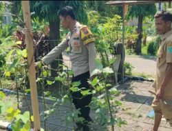 Img 20260703 Wa0003