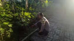 Img 20260707 Wa0113